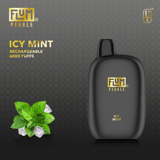 FLUM Pebble 6000 Puffs