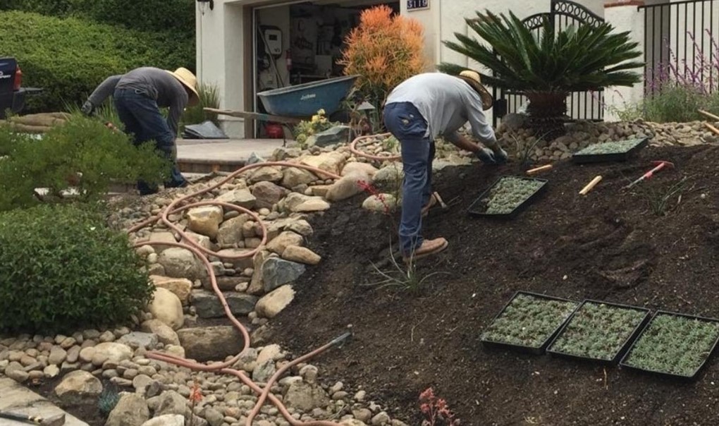 Landscape Installation Services in San Jose CA