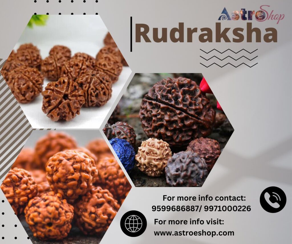 Rudraksha