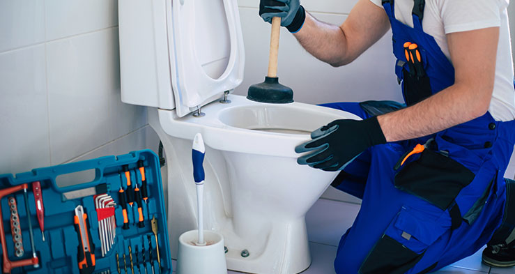 Toilet Installation and Repair Services in Juliet TN