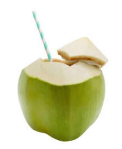 Coconut Water