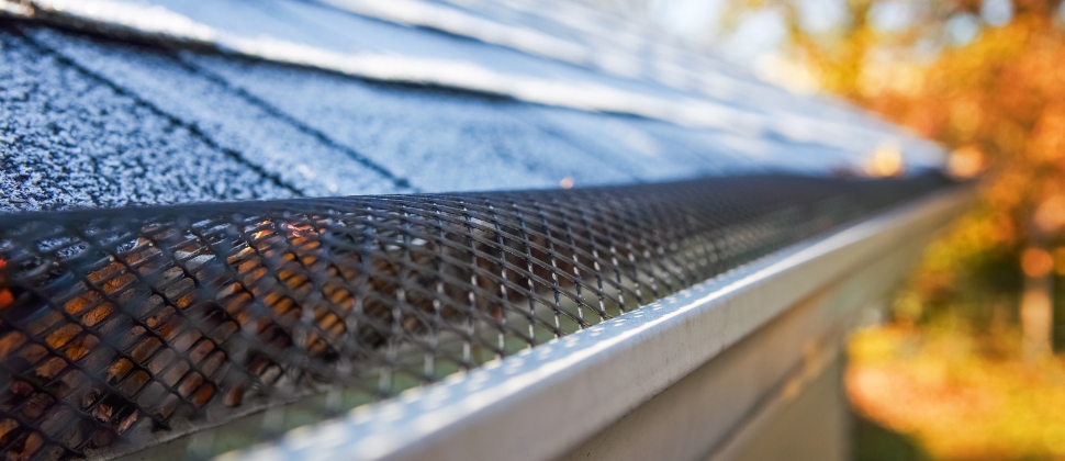 Gutter Guard Coromandel Valley