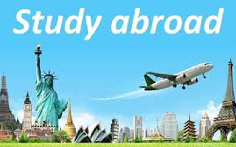 study visa consultants