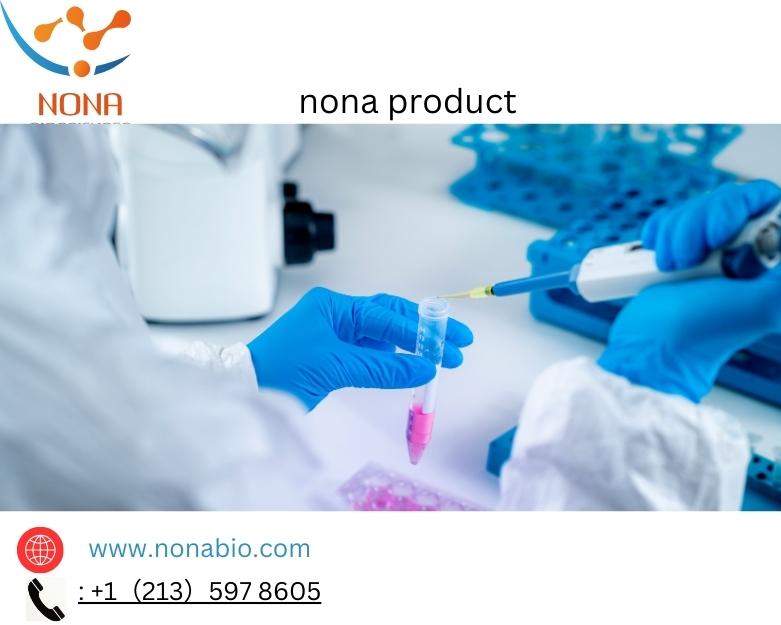 nona service