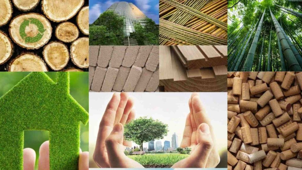 Choosing Eco-Friendly Building Materials