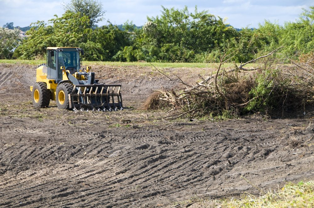 Land Clearing Services in Roseville CA