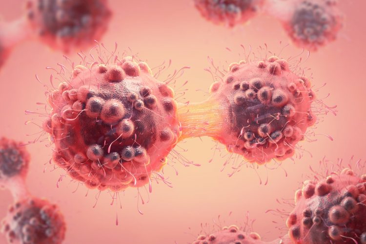 Cancer Immunotherapy Drug Discovery Outsourcing Market Size, Share, Growth, Trends, and Forecast 2032