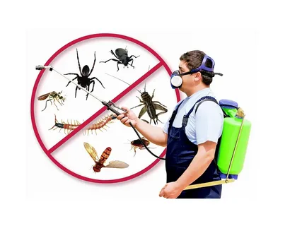 Pest Extermination Services