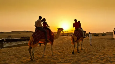 Unforgettable Evenings Under the Stars: A Guide to Dubai and Abu Dhabi's Evening Desert Safaris