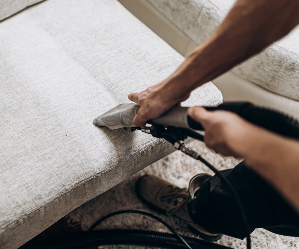 Carpet Stain Removal