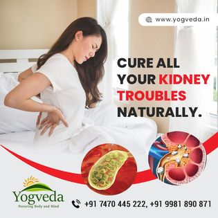 Kidney stone Treatment