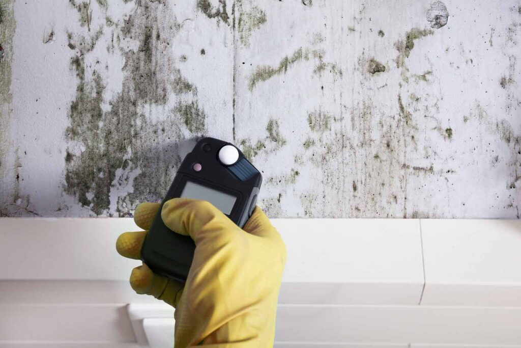 Mold Testing Services in Warwick RI