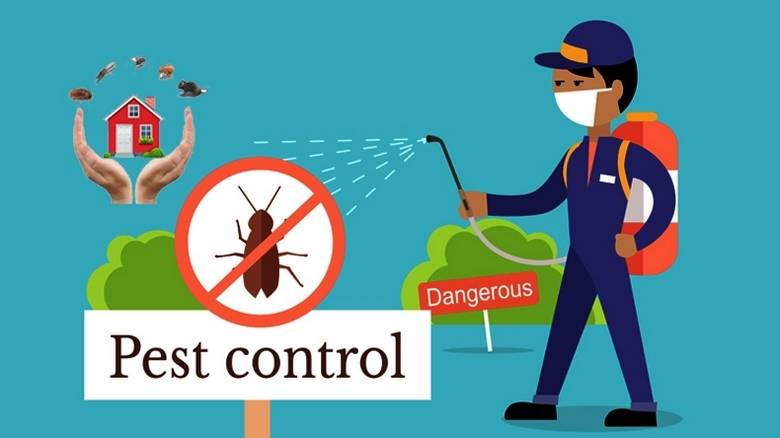 Pest Control in Kanpur