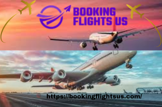 book a flight