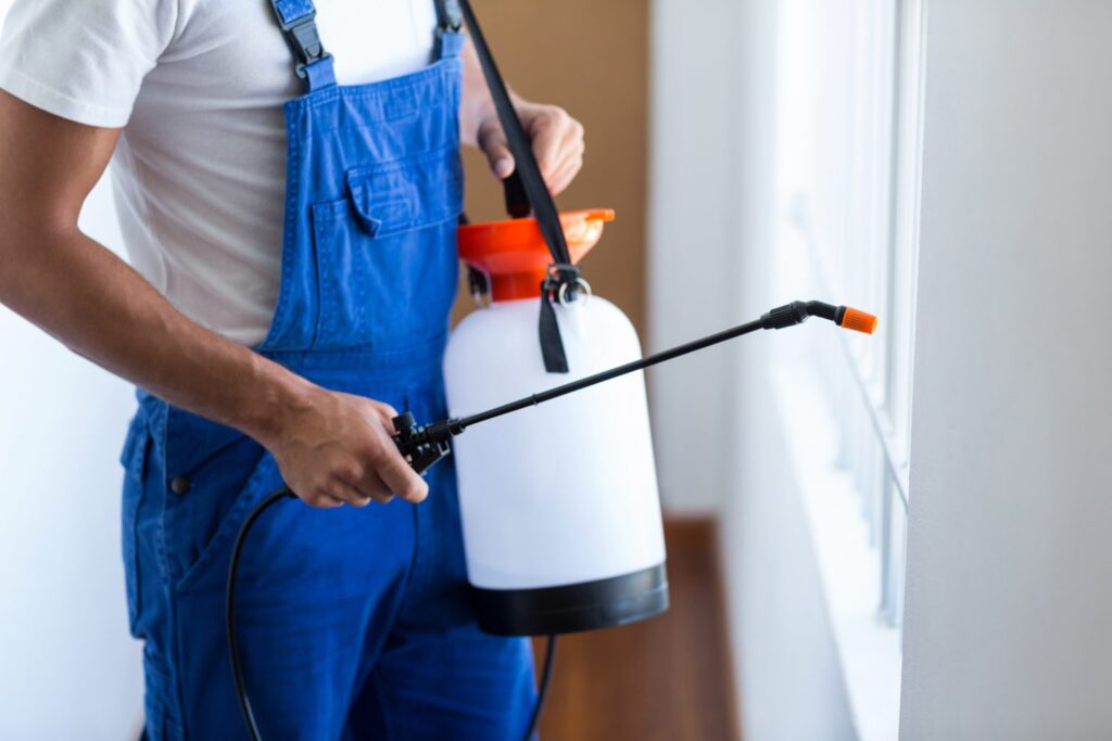 Pest Control Kitchener