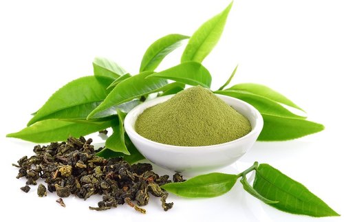 green-tea-extract (1)