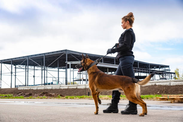 security dogs London