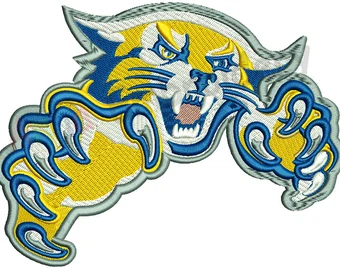 How Technology is Revolutionizing Embroidery Digitizing Services