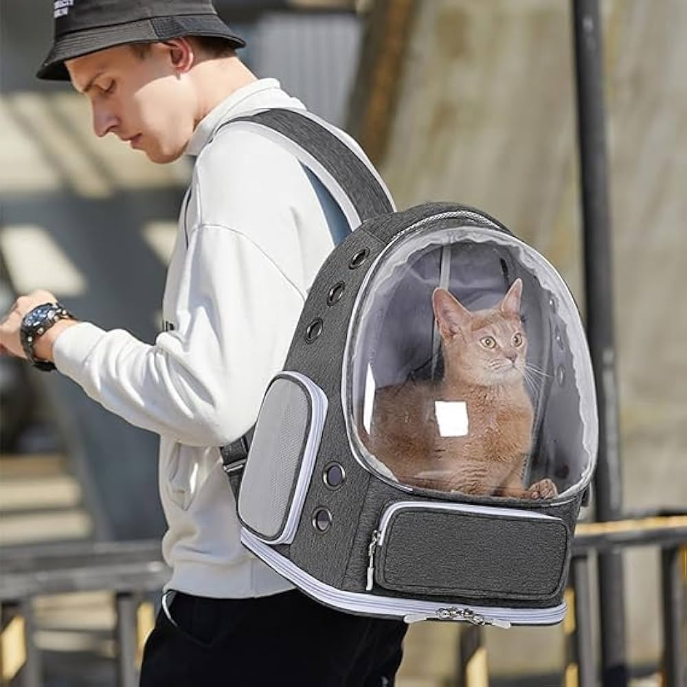 Best cat bags and hats for pet travel