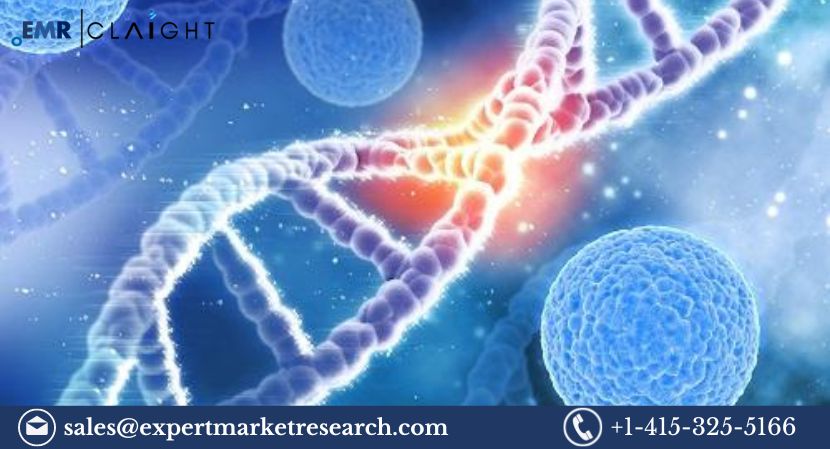 Antisense and RNAi Therapeutics Market