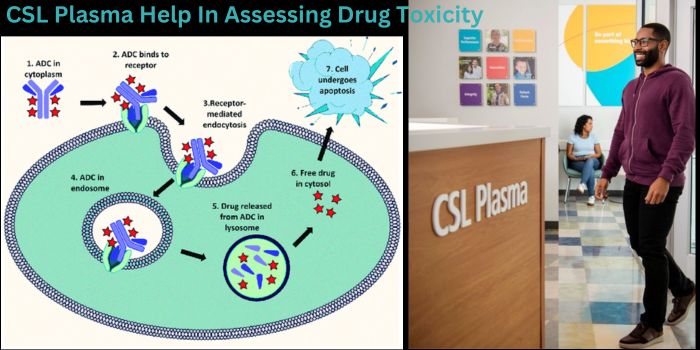 CSL Plasma Help In Assessing Drug Toxicity