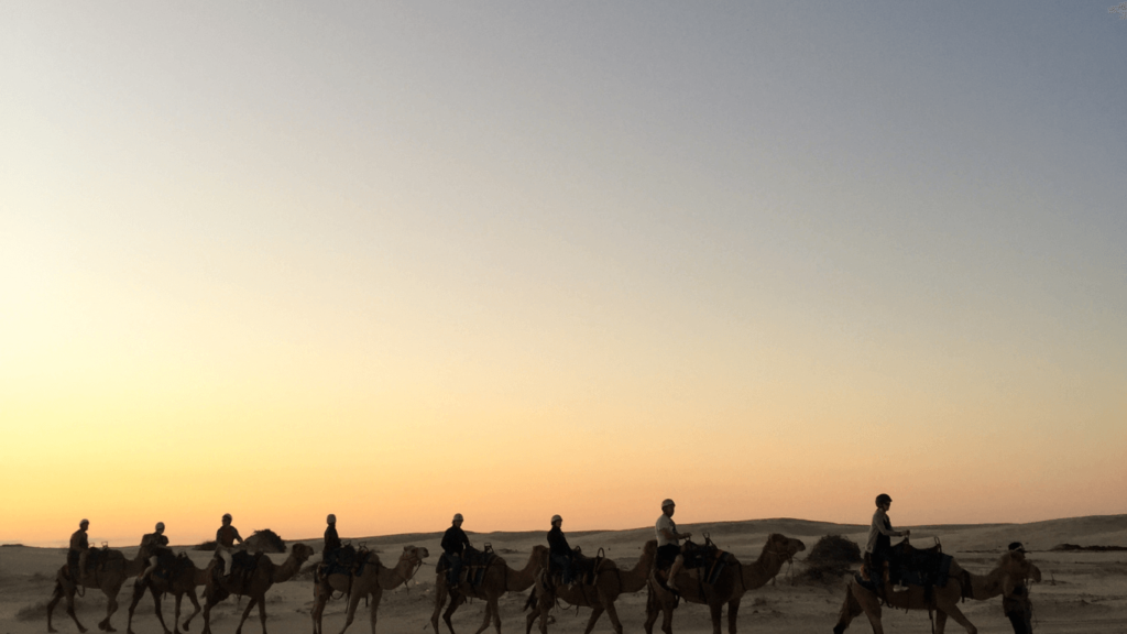 Family Desert Safari Dubai