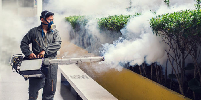 Fumigation Services in Lahore