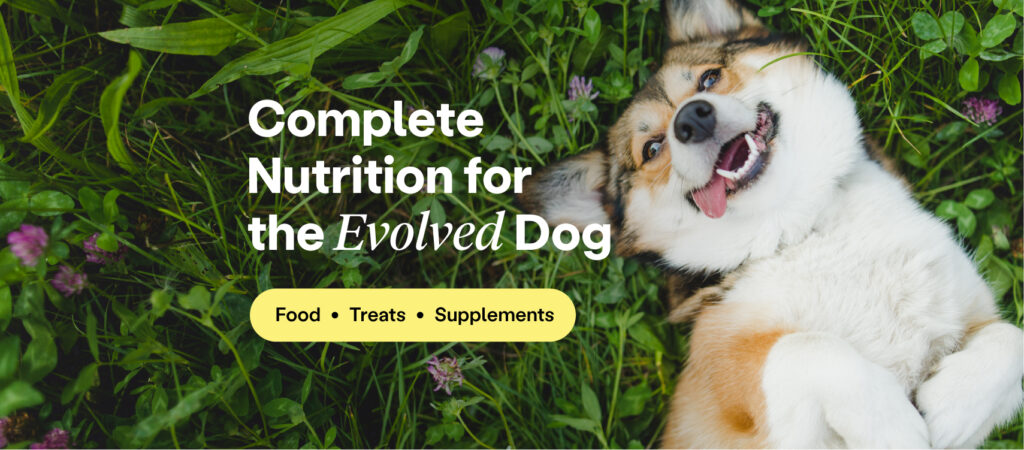 dog food supplement