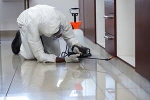 Top Pest Control Brampton