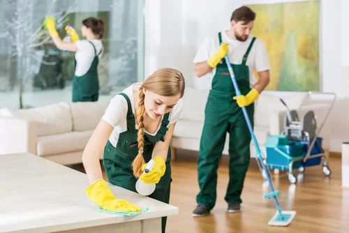 Light Housekeeping services