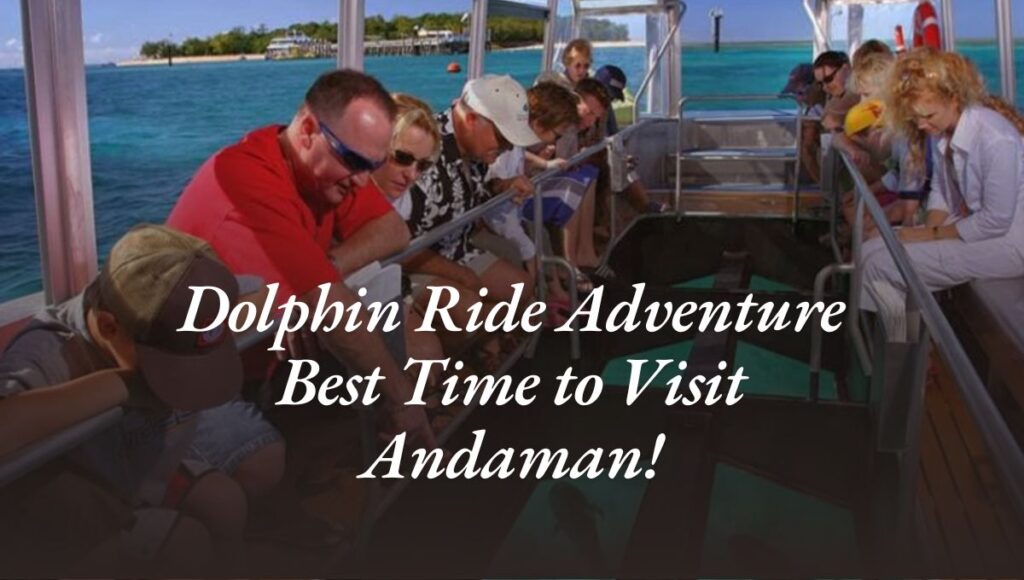 Dolphin Ride Adventure: Best Time to Visit Andaman!