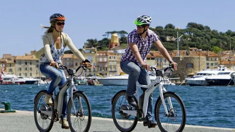 Sydney Electric Bike Shop