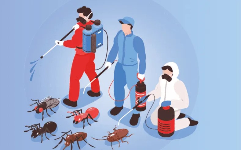 Termite Control Services