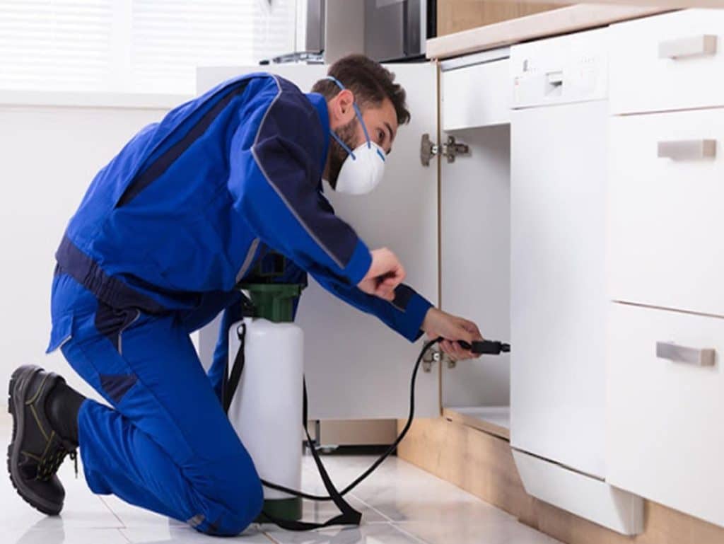 pest treatment services